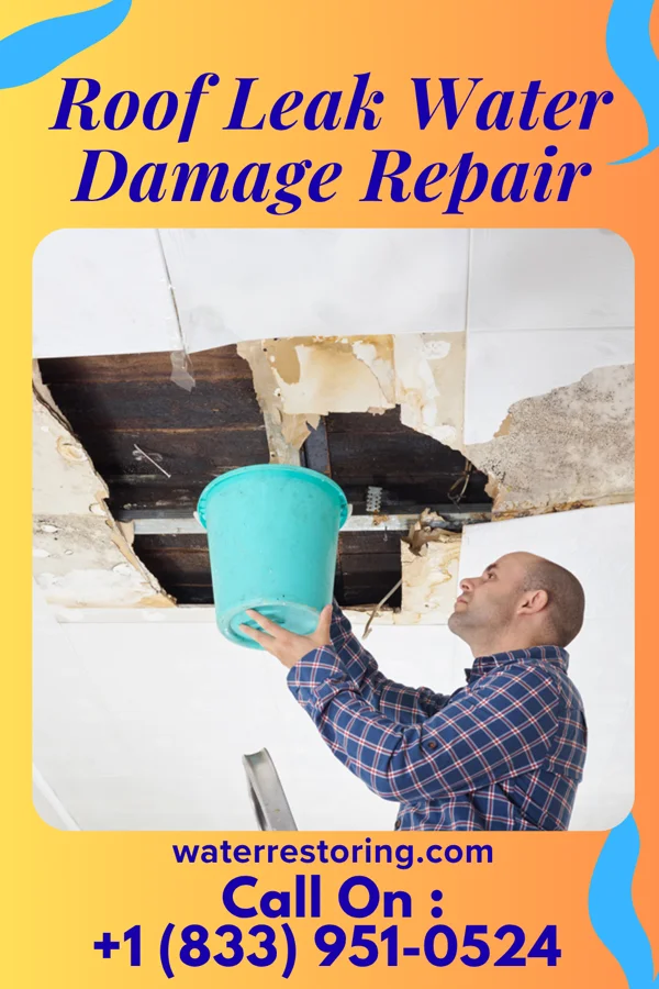 Roof Leak Water Damage Repair in Bison, SD